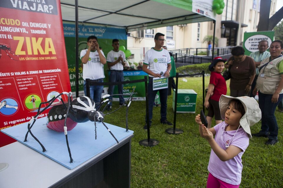 Los niños y las niñas pueden convertirse en agentes fundamentales para prevenir el dengue. (Fuente: AFP)