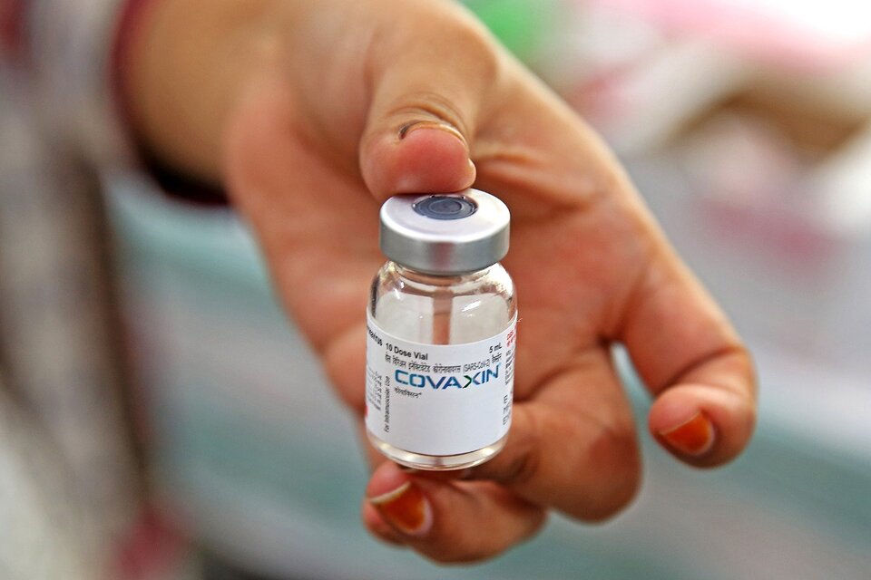 Covid-19: la OMS aprobó el uso de emergencia de la vacuna Covaxin (Fuente: EFE)