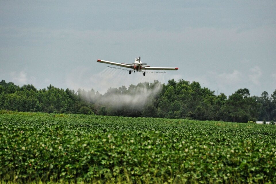 Las fumigaciones se habráin realizado aérea con vientos superiores a la velocidad permitida para su aplicación y sin receta agronómica. (Fuente: Télam)