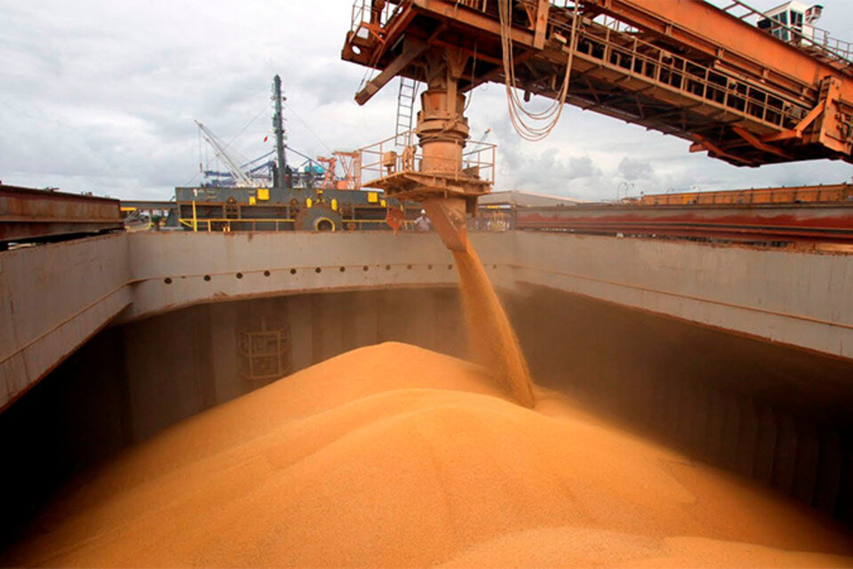 El maíz estaba cargado en 18 camiones para su traslado a Chile.