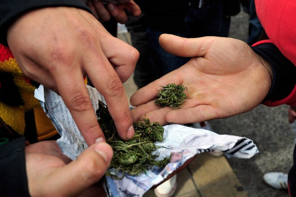Según un estudio de la Universidad de Düsseldorf, la legalización del cannabis aportaría al estado alemán unos ingresos adicionales de 4.700 millones de euros. (Fuente: AFP)