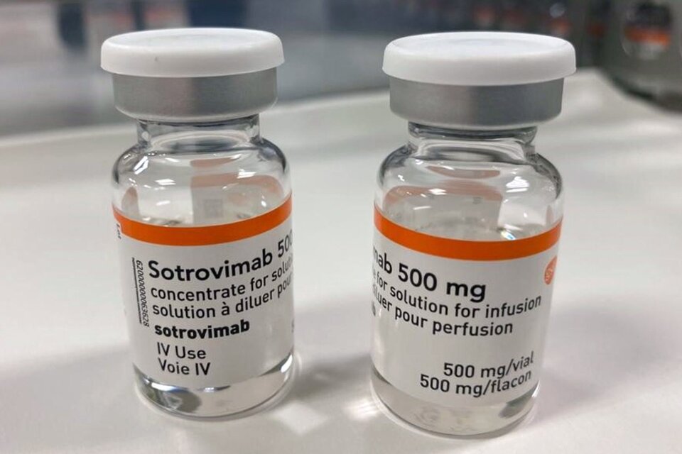 Sotrovimab, el medicamento contra el coronavirus que sería efectivo para Ómicron