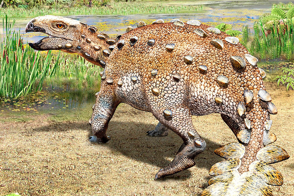 Paleontólogos chilenos presentaron sus estudios sobre el nuevo Stegouros elengassen.