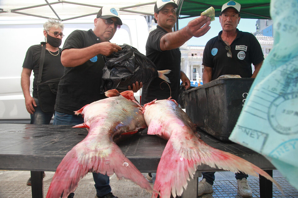Con un nuevo pescadazo en el Congreso, cooperativas de pescadores artesanales de Santa Fe y Buenos Aires le reclamaron al gobierno políticas de apoyo para poder producir y comercializar. (Fuente: Jorge Larrosa)