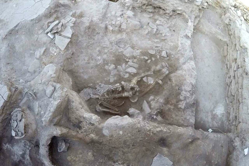 Restos hallados por los investigadores de la Universidad de Ankara.  (Fuente: Twitter @archaeologyEAA)