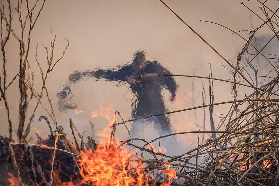 Daño ambiental, a la salud y molestias repetidas causan los incendios a Rosario. (Fuente: Gentileza Carlos Salazar Multisectorial Humedales)