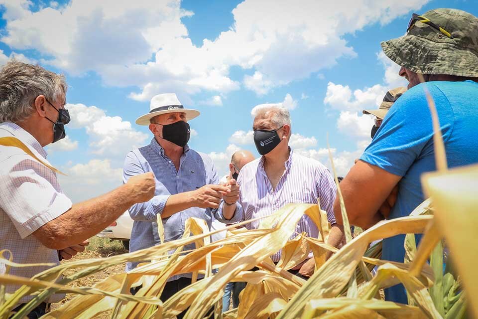 Perotti y el ministro Domínguez el sábado en la recorrida por un campo de Roca.