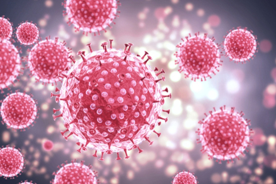 La estructura del virus del papiloma humano (vph).