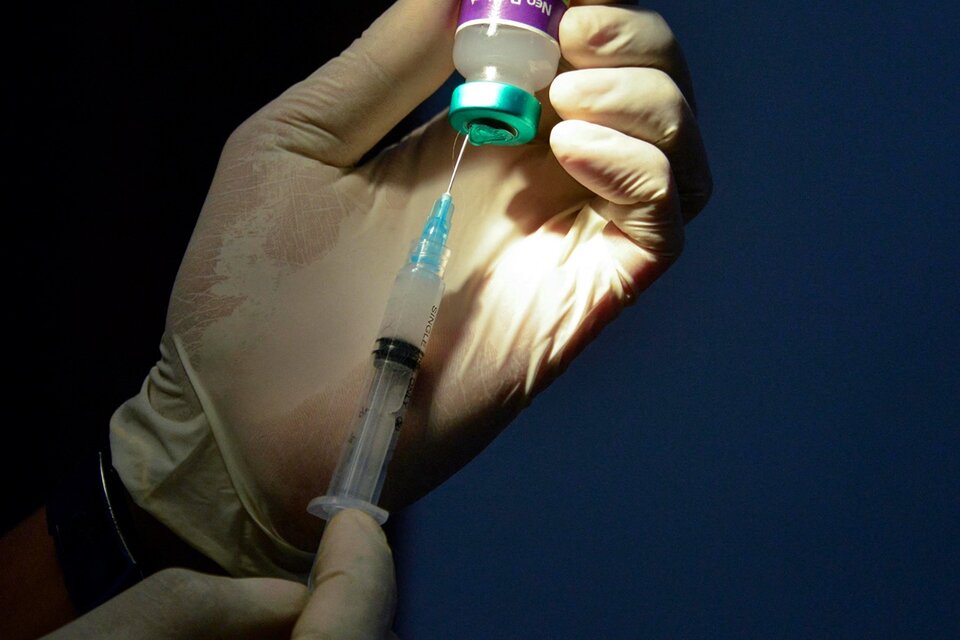 La combinación de vacunación e infección natural por coronavirus genera “superinmunidad” (Fuente: AFP)