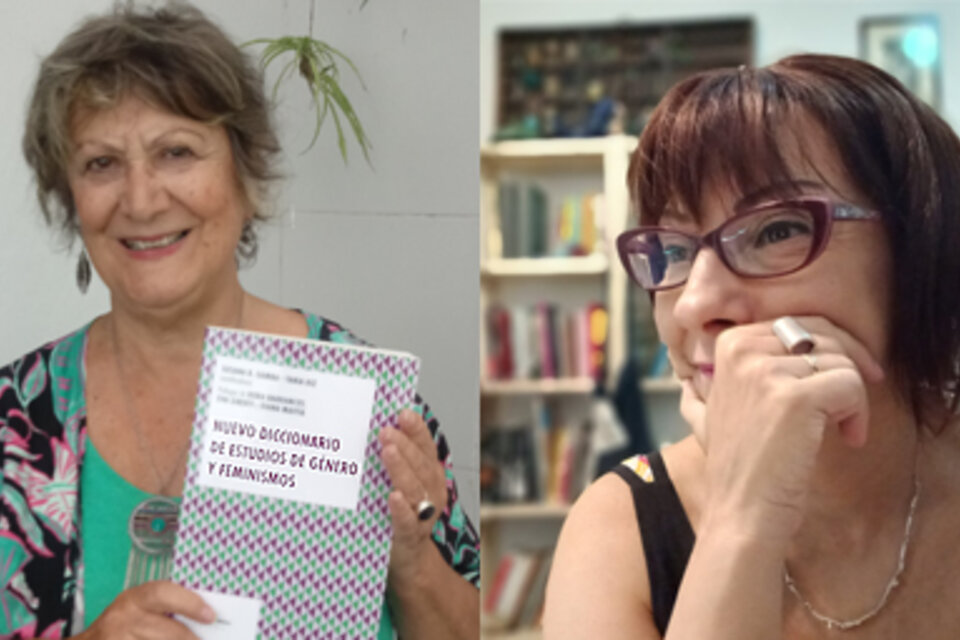 Susana Gamba y Tania Diz decidieron actualizar el Diccionario cuando supieron que el de 2007 todavía circulaba en librerías. 
