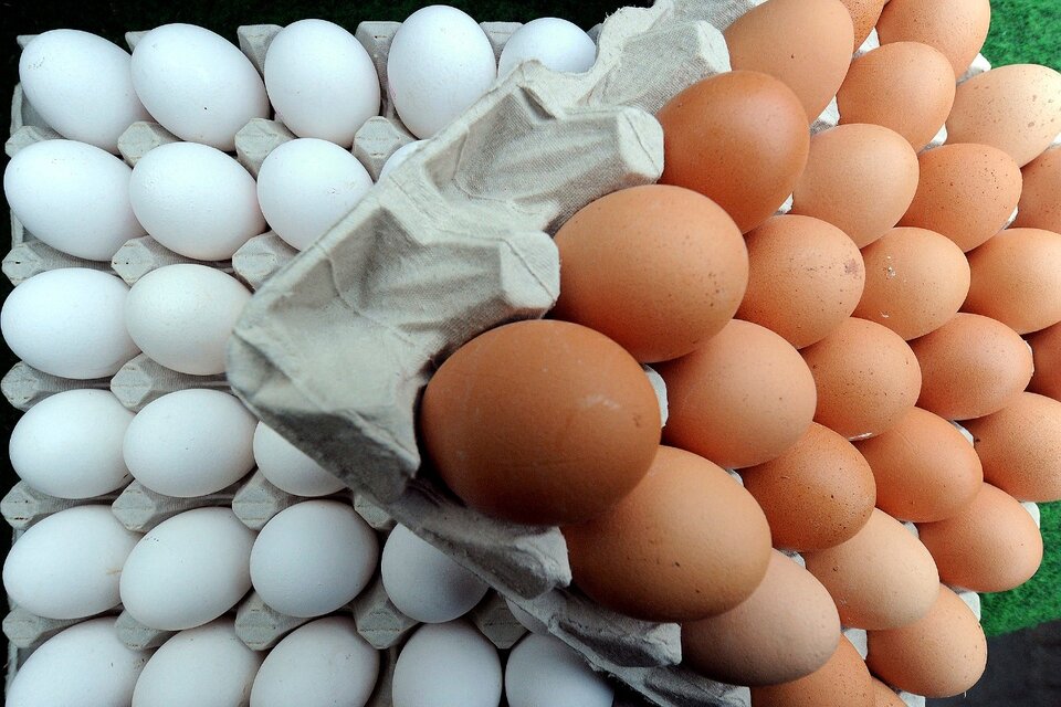 Los huevos registraron aumentos del 80 por ciento en el primer mes de este año. (Fuente: EFE)