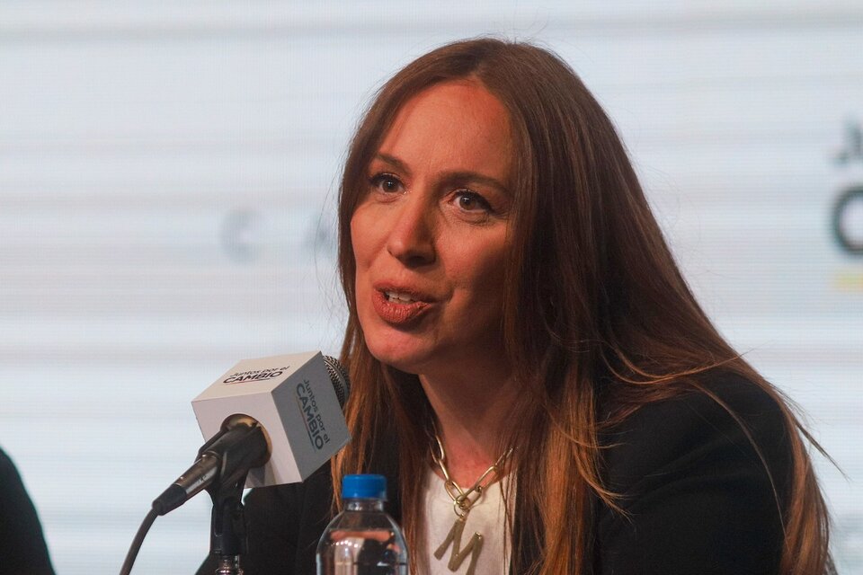 Según los fundamentos del proyecto, "la conducta es contraria al Estado de Derecho y a los más mínimos estándares de gobierno democrático y republicano. (Fuente: NA)