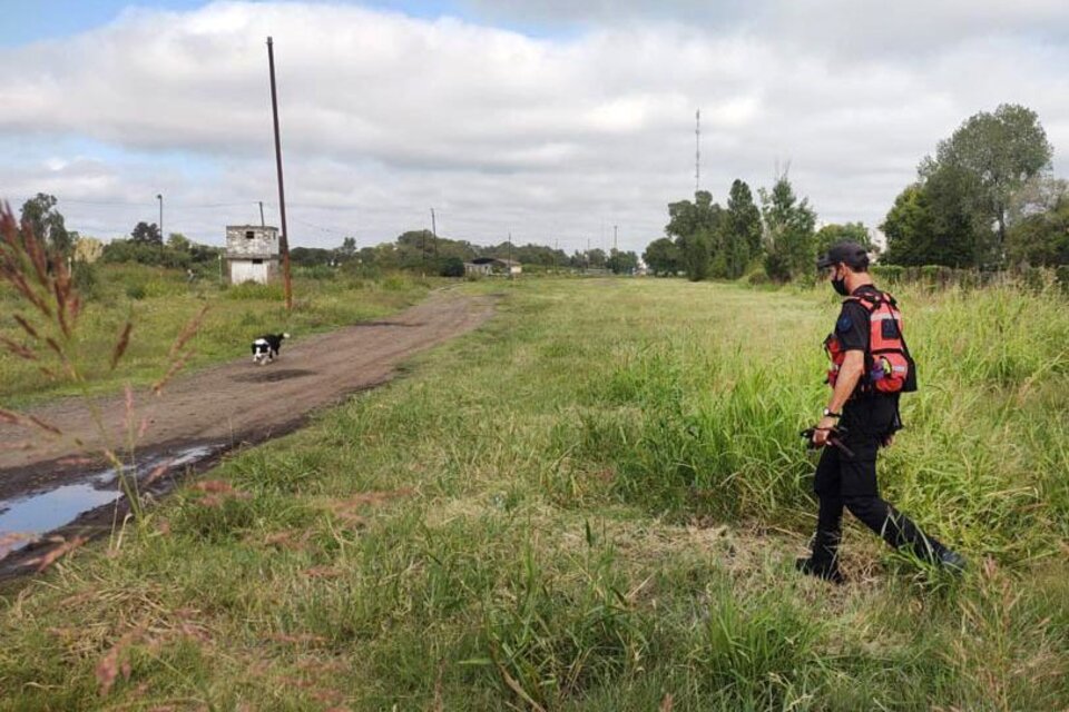 El operativo de búsqueda de Betiana Rossi en un descampado ferroviario de Sáenz Peña incluyó perros rastreadores. (Fuente: NA)