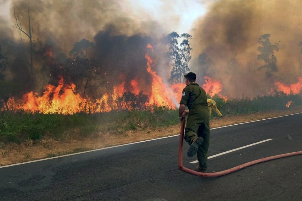 Los incendios en Corrientes consumieron un millón de hectáreas. (Fuente: NA)