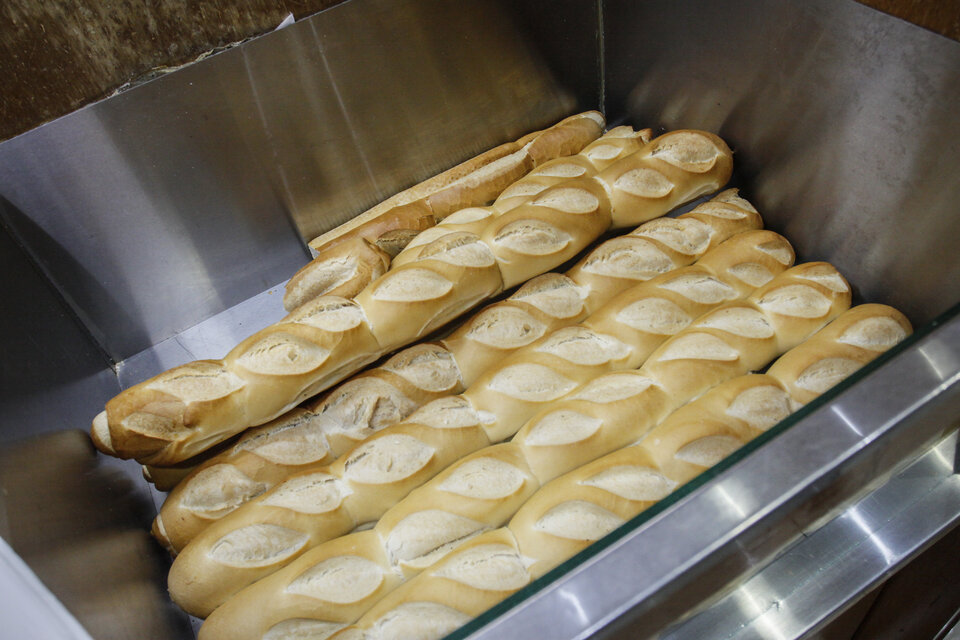 Buscan evitar que el kilo de pan supere los 300 pesos. (Fuente: Jorge Larrosa)