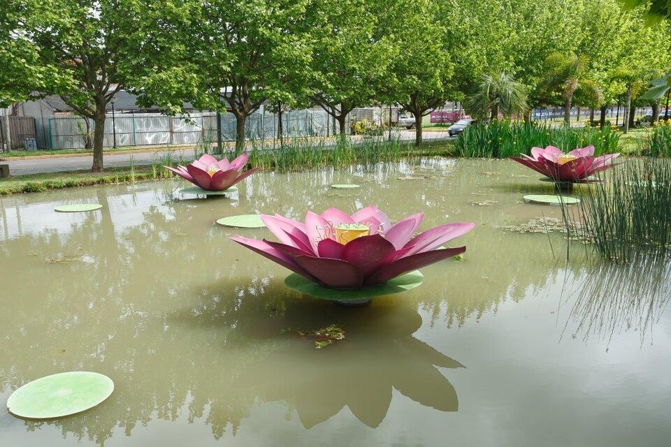 "Jardines flotantes", obra de Marcela Cabutti, que participará del
encuentro de artes visuales organizado por la Universidad del Nordeste
(Foto: Gentileza UNNE).