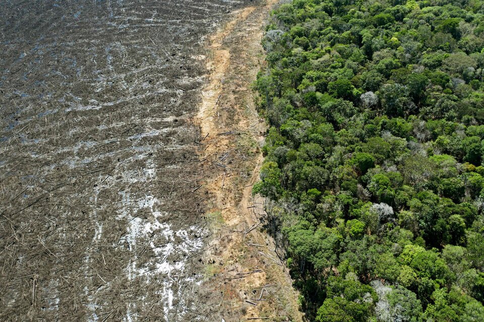 Brasil: la batalla final por el medioambiente (Fuente: AFP)