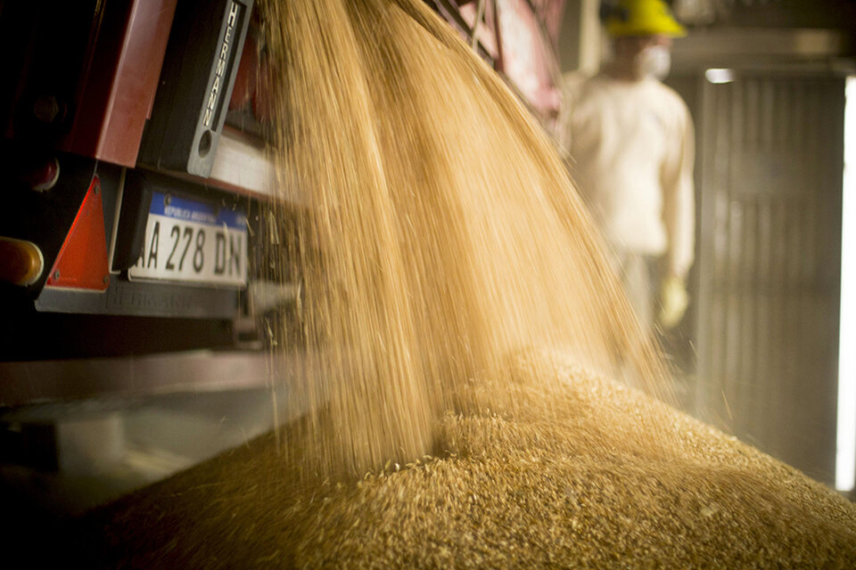 El Gobierno aplicó una millonaria multa a Molinos Cañuelas por especular con el precio de la harina de trigo (Fuente: Télam)