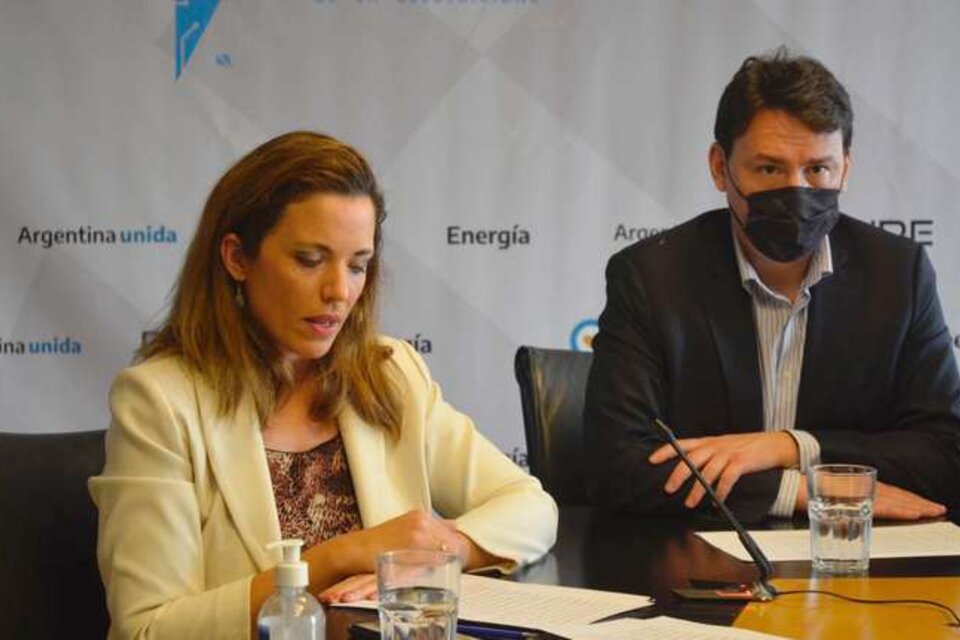 María Soledad Manin y Federico Basualdo durante la última audiencia pública de electricidad. 