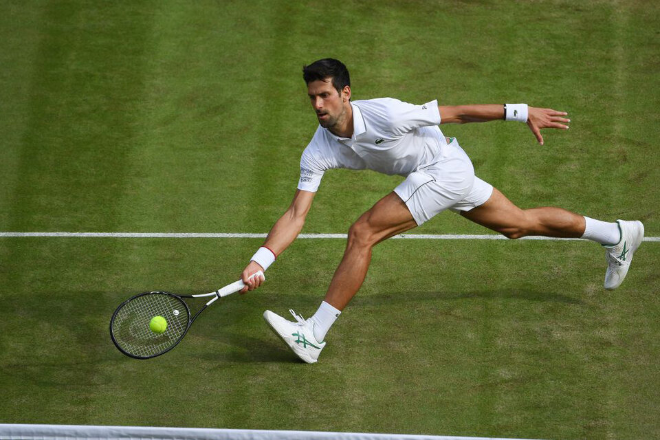 Djokovic volverá a estar en Wimbledon