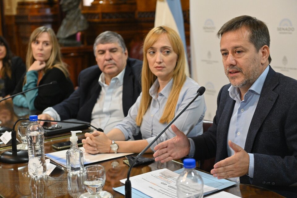 Los senadores Recalde, Fernández Sagasti, Mayans y Di Tullio presentaron el proyecto.