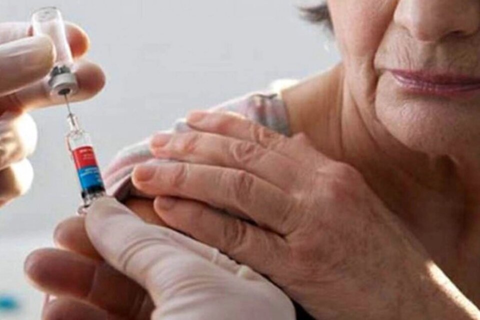 “Toda persona mayor de seis meses puede vacunarse contra la gripe”, aseguró Pulido.  