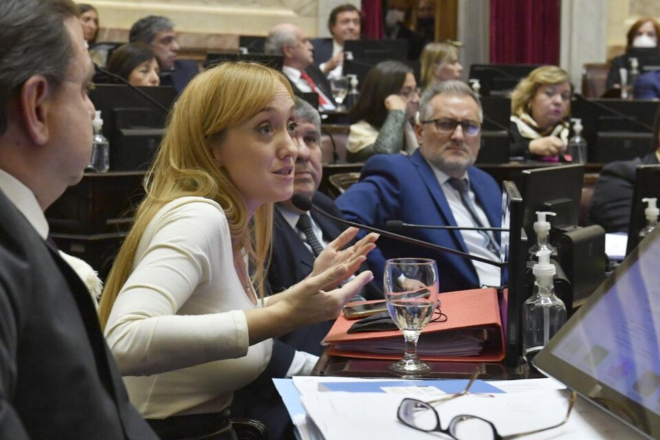 "Es bochornoso que se den estas circunstancias, que una senadora se pare a izar la bandera y otra le ocupe la banca", recriminó Anabel Fernández Sagasti. (Fuente: Télam)