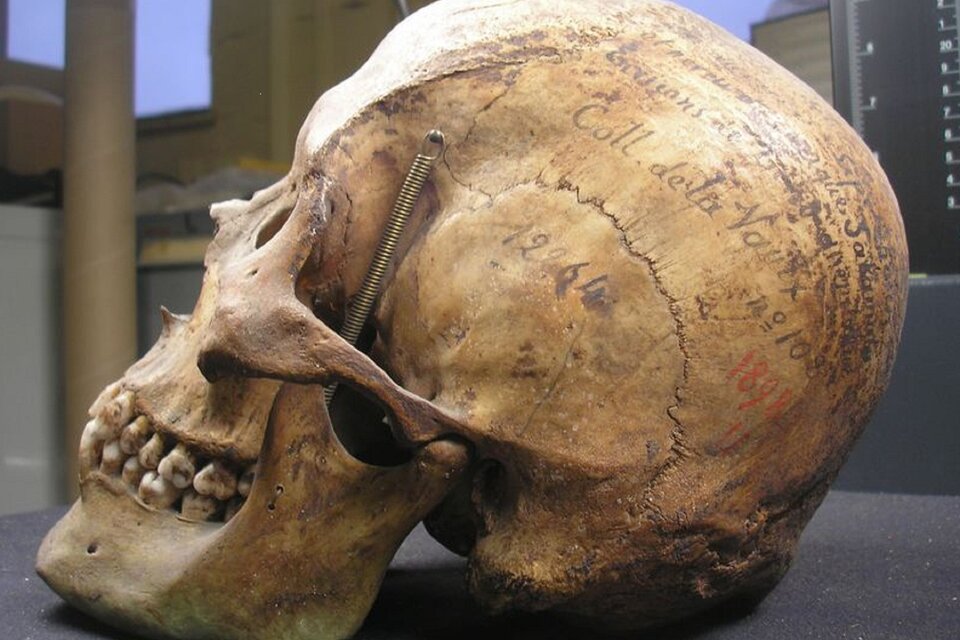 El esqueleto del cacique fue exhibido en un museo parisino hasta 2009.  (Fuente: Télam)
