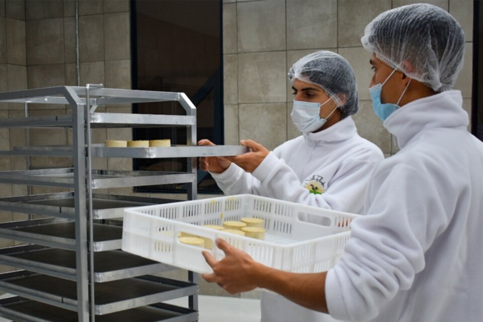 Villa Flandria Vegan Foods es la primera fábrica regional en producir quesos 100% a base de plantas. Foto: Télam. 