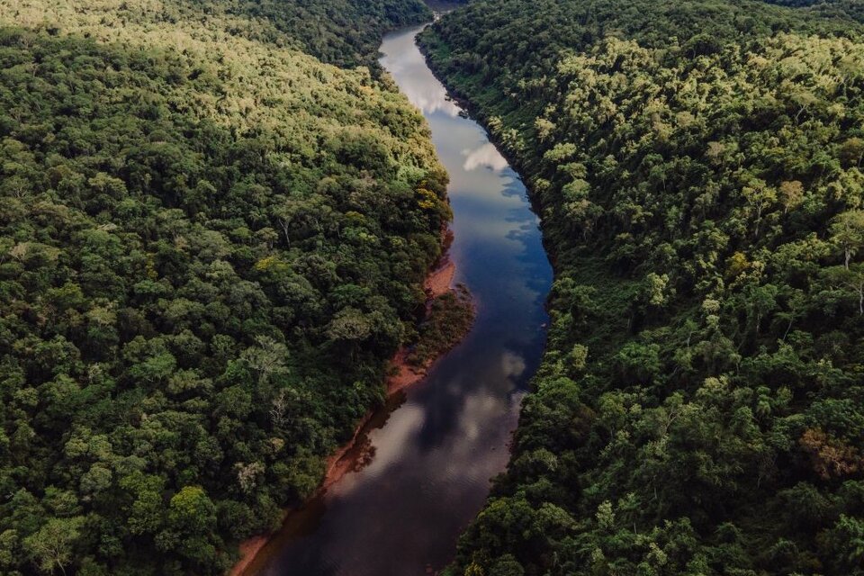 Fue como retribución a la reducción en la deforestación en el Parque Chaqueño, la Selva Tucumano Boliviana, en el Espinal y la Selva Misionera. 
