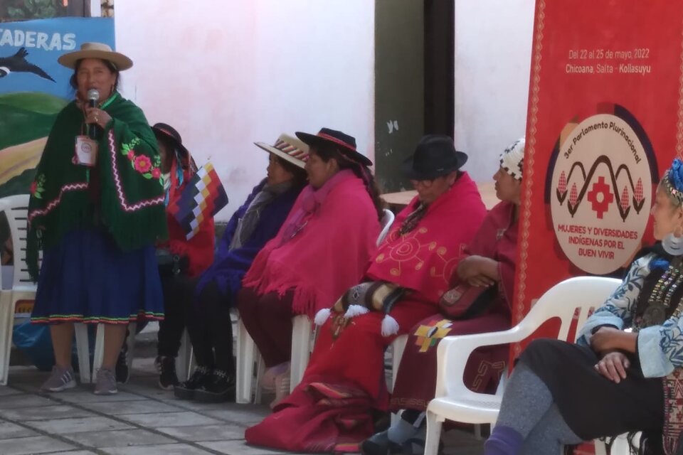 Mujeres indígenas parlamentan en Salta contra el terricidio y el chineo