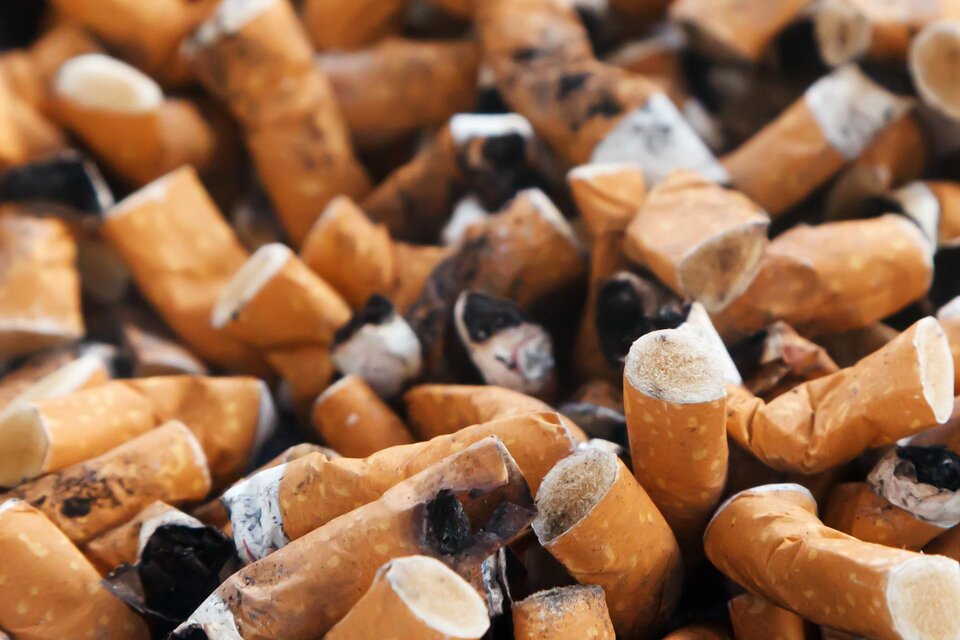 La OMS compartió el informe "Tabaco: envenenar nuestro planeta" en el marco de un nuevo aniversario del Día Mundial Sin Tabaco, que se conmemora este martes.