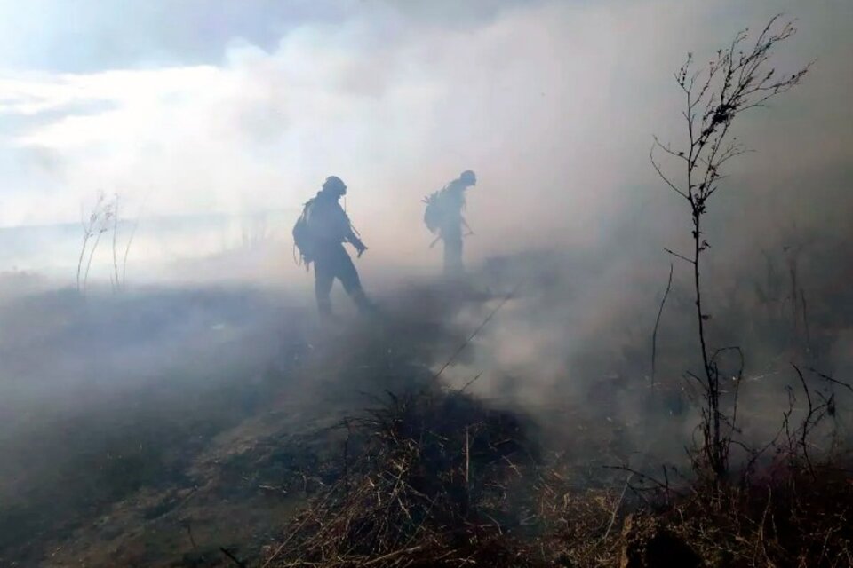 Brigadistas combaten incendios cercanos a casas y escuelas en las islas del Paraná
