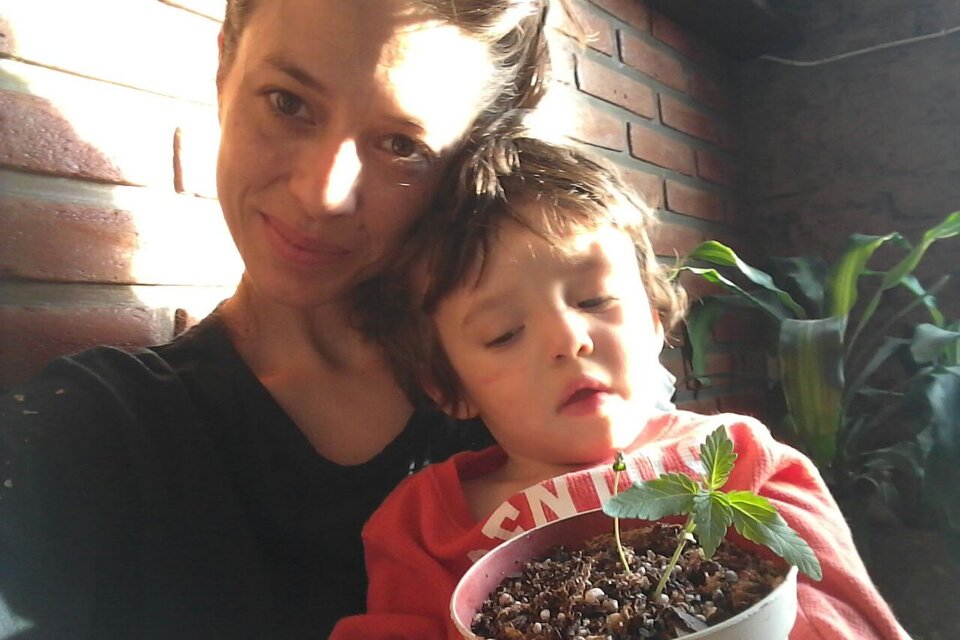 Una de las integrantes de Mamá Cultiva, junto a su hijo y los primeros esquejes de cannabis.