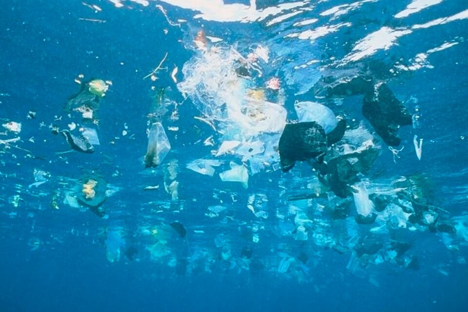 Un camión de basura por minuto es arrojado a los océanos en todo el mundo. (Fuente: AFP)