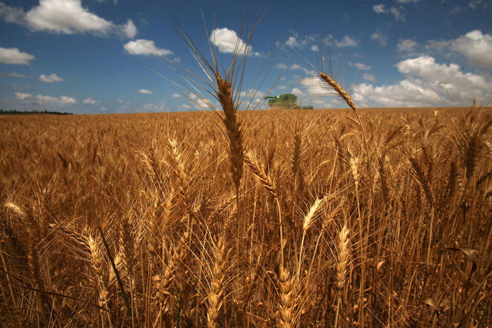 El Mercosur es un destino potencial para la venta de insumos agrícolas (Fuente: AFP)