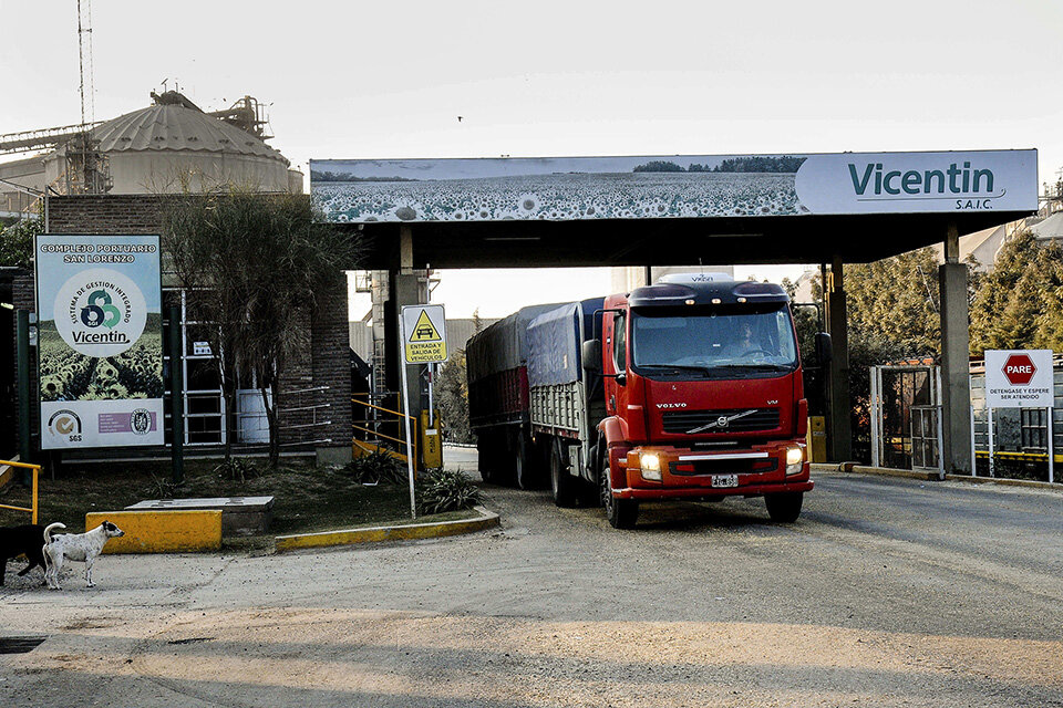 Aseguran que hay 34 irregularidades en el expediente de la cerealera. 