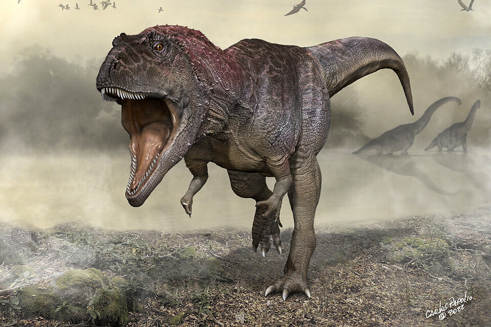 Meraxes Gigas, una nueva especie de dinosaurio carnívoro gigante hallada en la provincia de Neuquén. (Fuente: EFE)