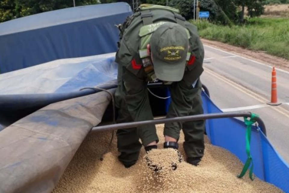 Decomisan 30 toneladas de soja que transportaban hacia la frontera 