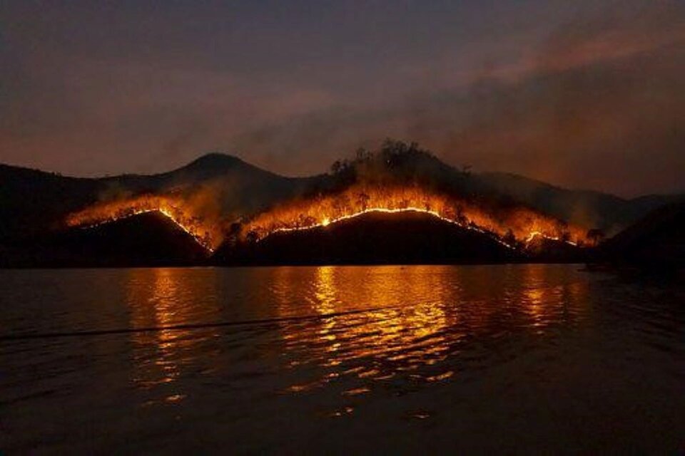 Los incendios forestales son una amenaza para la vida en los océanos porque pueden causar la mortandad de especies. (Foto: Pixabay)