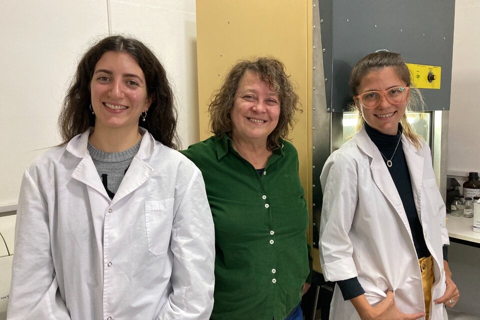 Agustina Cerri, Adriana Giri y Elisa Bolatti, integrantes del equipo de investigación.