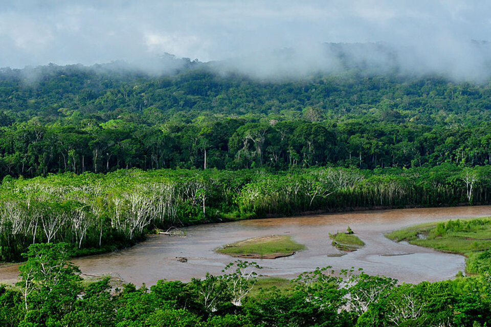 Tramo del río Amazonas. Foto CC Dirk Embert para WWF