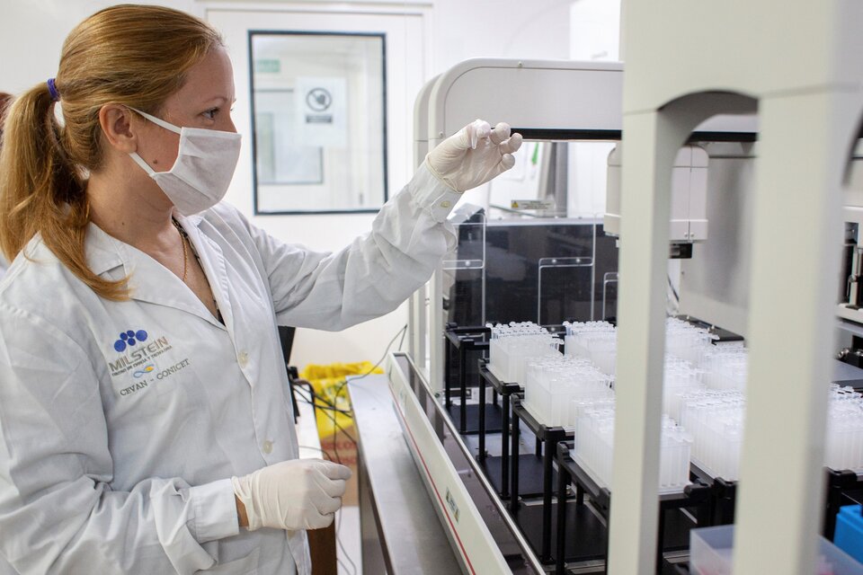 El Servicio de Microscopía Electrónica del Departamento de Virología del Insituto Malbrán analiza muestras para detectar posibles casos de viruela del mono. (NA)