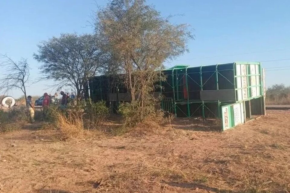 La Policía reportó entre 20 y 30 vacas muertas, mientras que las que sobrevivieron escaparon. (Foto: Twitter).