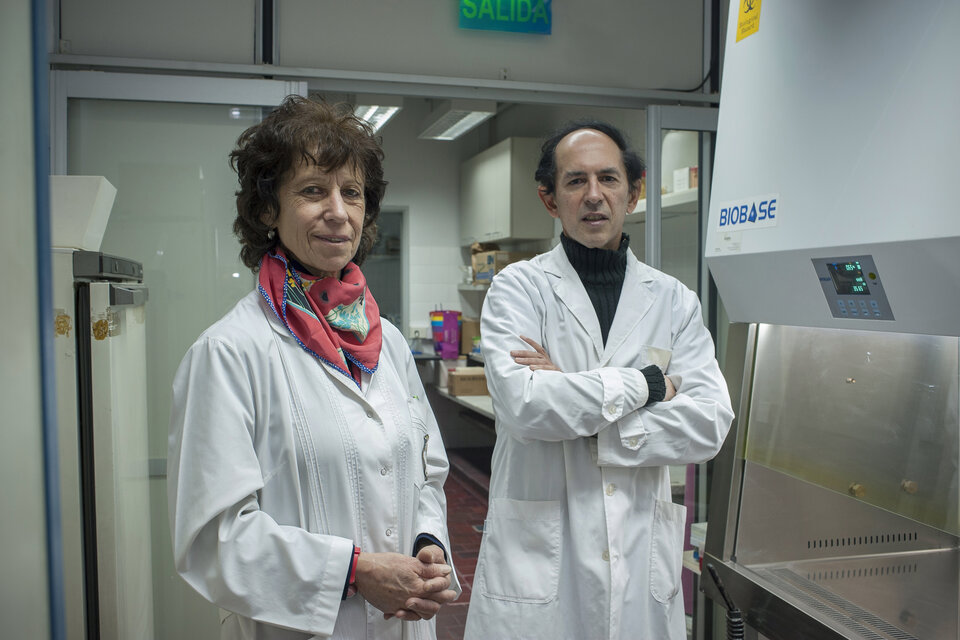 Los investigadores Laura Kornblihtt y Guillermo Blanco. (Fuente: Adrián Pérez)