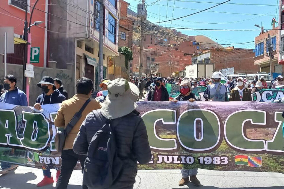 Movilización en La Paz / Marcha de Adepcoca