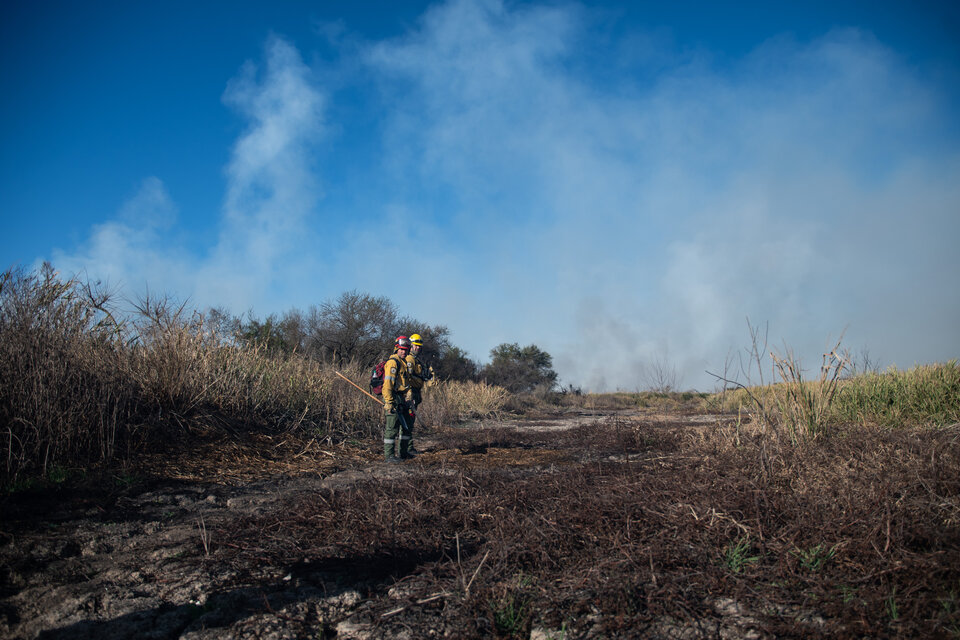 Los incendios forestales persisten en las islas del Delta del Paraná. Imagen: Télam.