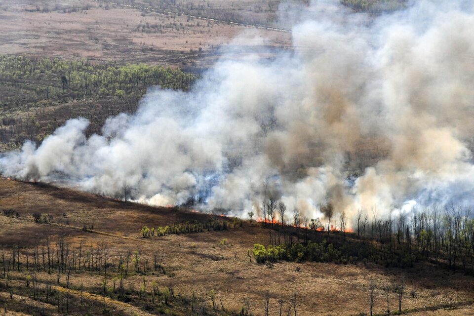 El Museo A. Scasso calcula que este año se quemaron 196.073 hectáreas en el Delta e Islas del Paraná. (Fuente: NA)
