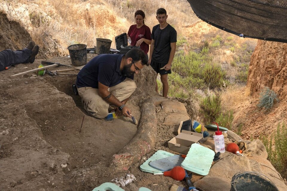 Lugar donde se encontró el fósil, en el kibbutz Revadim, una comuna agrícola en la llanura del sur del país. (Foto: AFP)