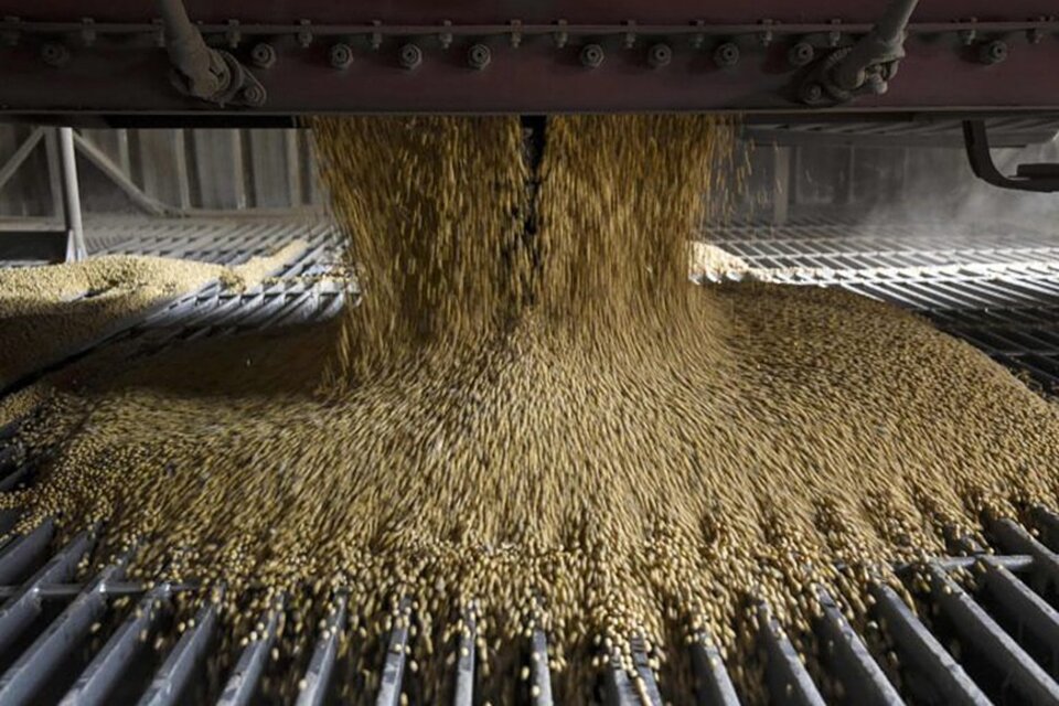 Se estima en 20 millones de toneladas la soja todavía retenida en los campos. (Fuente: AFP)